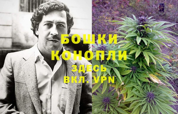 ALPHA PVP Куйбышев