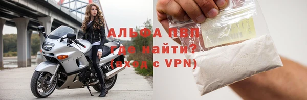 PSILOCYBIN Кукмор