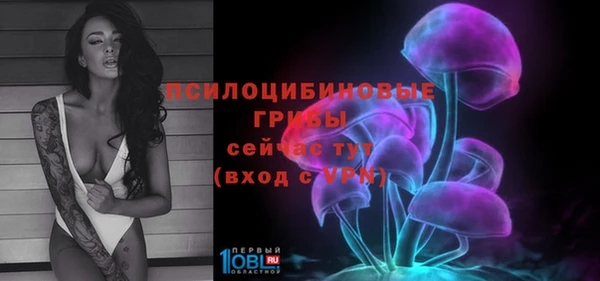тгк Пенза