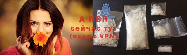 PSILOCYBIN Кукмор