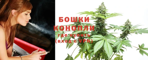 ALPHA PVP Куйбышев
