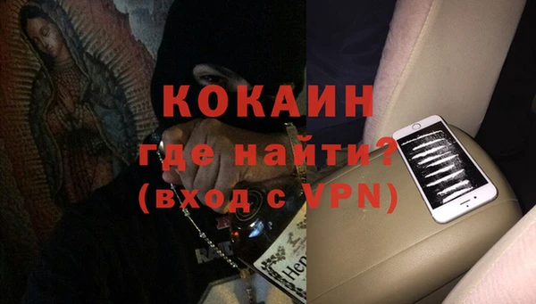 PSILOCYBIN Кукмор