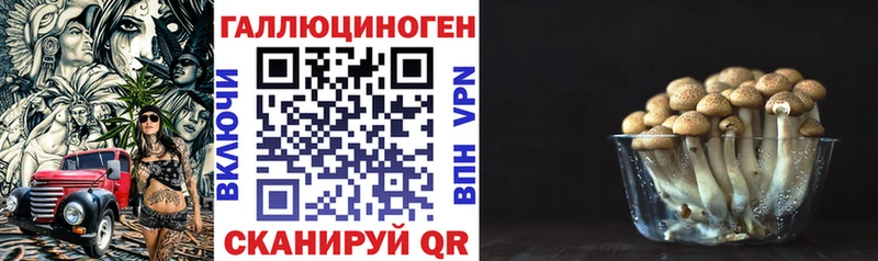 Галлюциногенные грибы Magic Shrooms  магазин продажи   Пушкино 