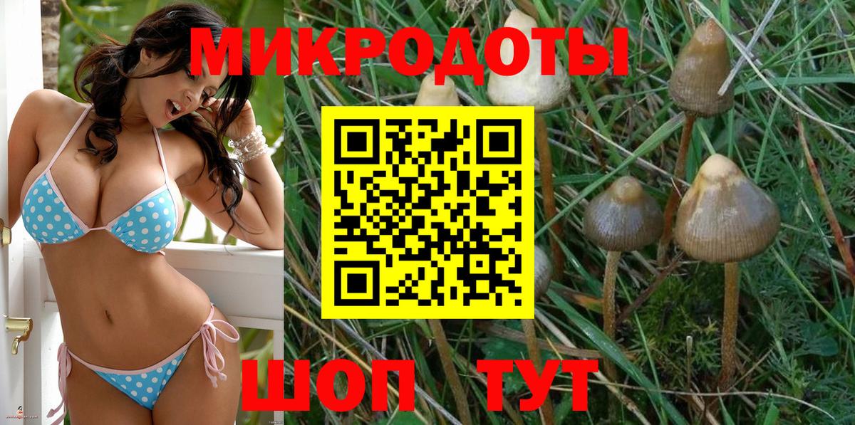 цена наркотик  Псилоцибиновые грибы Magic Shrooms  Вход с VPN  Пушкино 