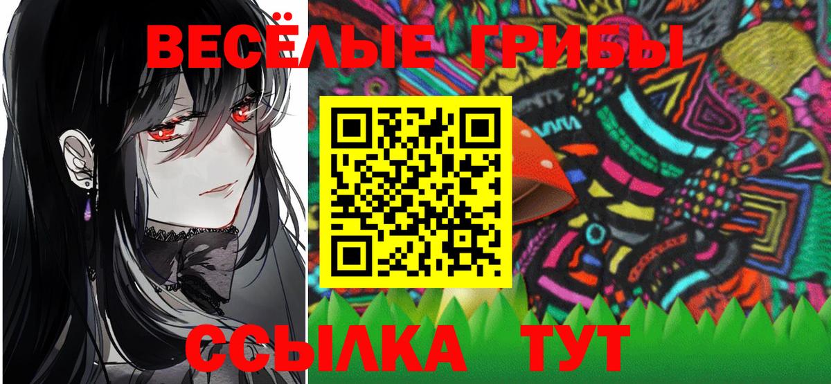 купить наркоту  Пушкино  Псилоцибиновые грибы Magic Shrooms 