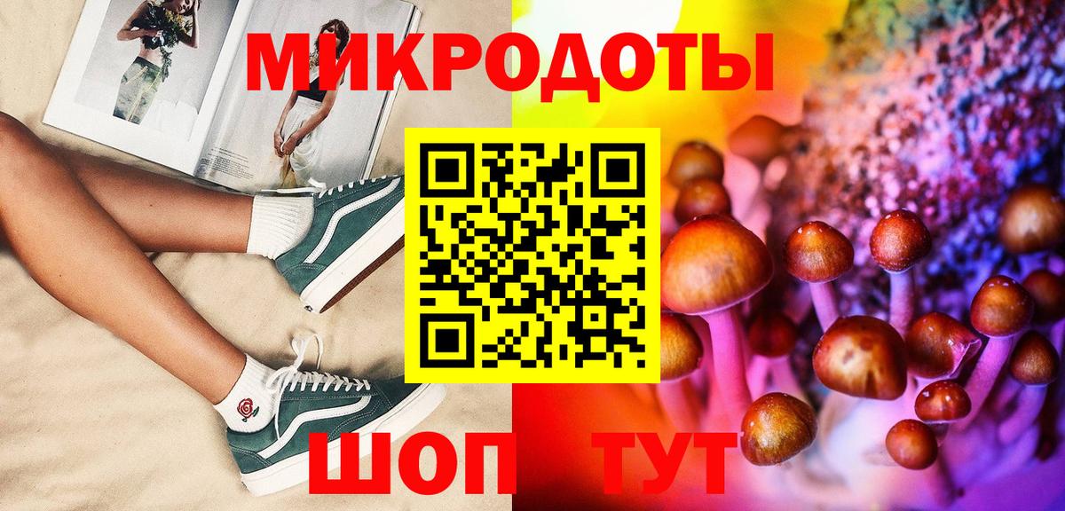 Галлюциногенные грибы Cubensis Пушкино