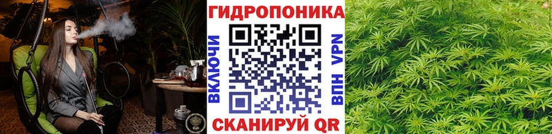 МАРИХУАНА OG Kush Пушкино